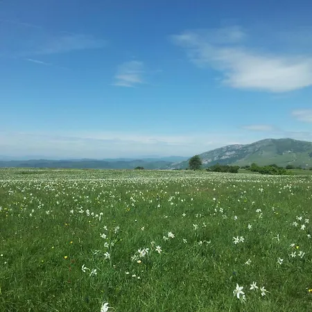 Feriehus Reniccio Cagli